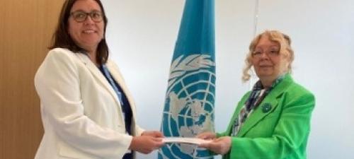 New Permanent Representative of Chile