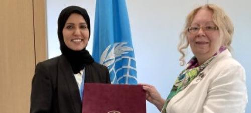 New Permanent Representative of Qatar