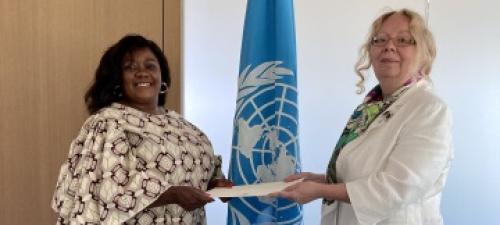 New Permanent Representative of Zambia