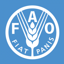 fao-logo.png