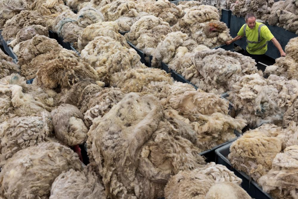 This view of a "sea of wool" was taken by Magnum photographer Jonas Bendiksen in Bradford, England, in 2013