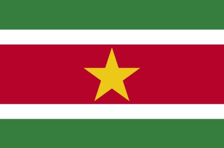 Suriname Flag